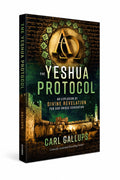 THE YESHUA PROTOCOL: AN EXPLOSION OF DIVINE REVELATION FOR OUR UNIQUE GENERATION